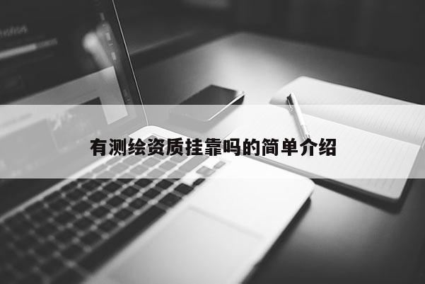 有测绘资质挂靠吗的简单介绍