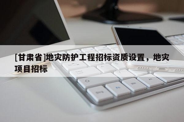 [甘肃省]地灾防护工程招标资质设置，地灾项目招标