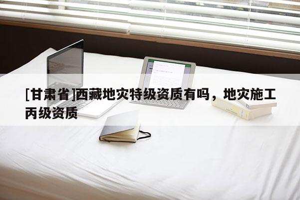 [甘肃省]西藏地灾特级资质有吗，地灾施工丙级资质