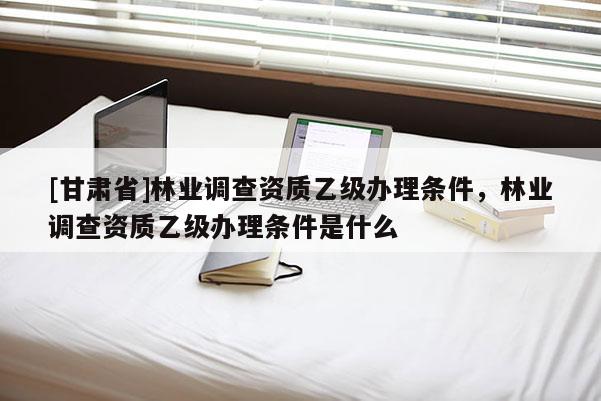 [甘肃省]林业调查资质乙级办理条件，林业调查资质乙级办理条件是什么