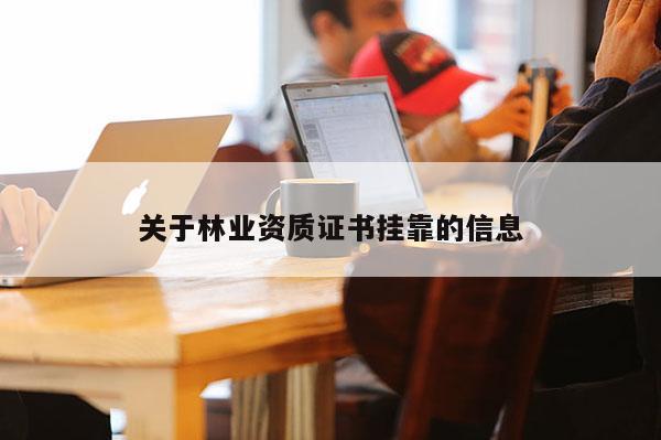 关于林业资质证书挂靠的信息