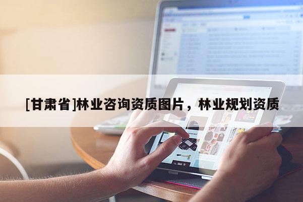 [甘肃省]林业咨询资质图片，林业规划资质