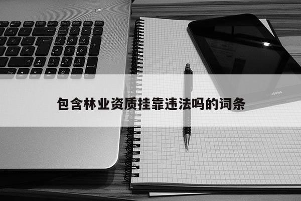 包含林业资质挂靠违法吗的词条