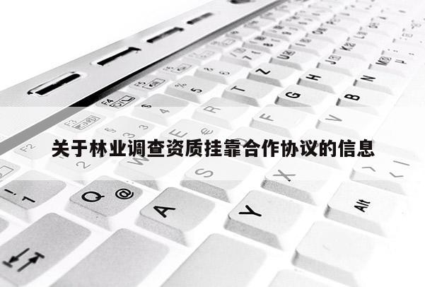 关于林业调查资质挂靠合作协议的信息