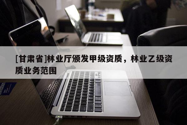 [甘肃省]林业厅颁发甲级资质，林业乙级资质业务范围