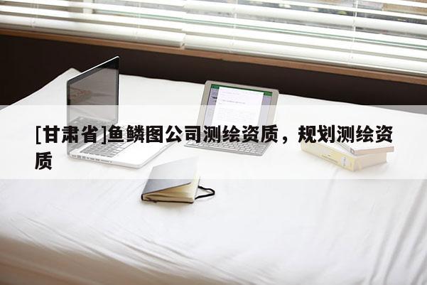 [甘肃省]鱼鳞图公司测绘资质，规划测绘资质