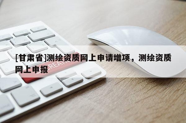 [甘肃省]测绘资质网上申请增项，测绘资质网上申报
