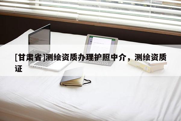 [甘肃省]测绘资质办理护照中介，测绘资质证