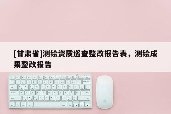 [甘肃省]测绘资质巡查整改报告表，测绘成果整改报告