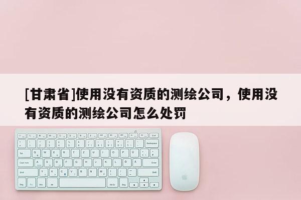 [甘肃省]使用没有资质的测绘公司，使用没有资质的测绘公司怎么处罚