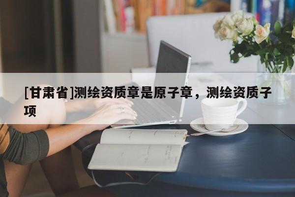 [甘肃省]测绘资质章是原子章，测绘资质子项