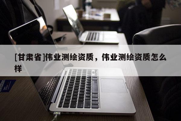 [甘肃省]伟业测绘资质，伟业测绘资质怎么样