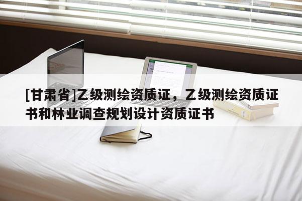 [甘肃省]乙级测绘资质证，乙级测绘资质证书和林业调查规划设计资质证书
