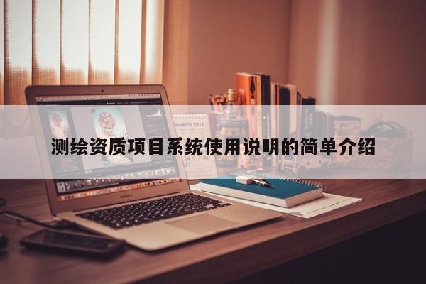 测绘资质项目系统使用说明的简单介绍