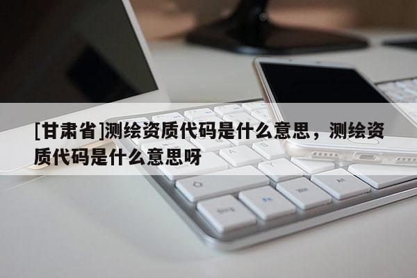 [甘肃省]测绘资质代码是什么意思，测绘资质代码是什么意思呀