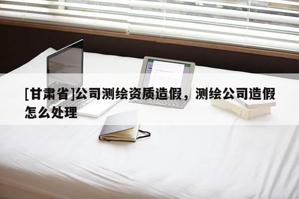[甘肃省]公司测绘资质造假，测绘公司造假怎么处理