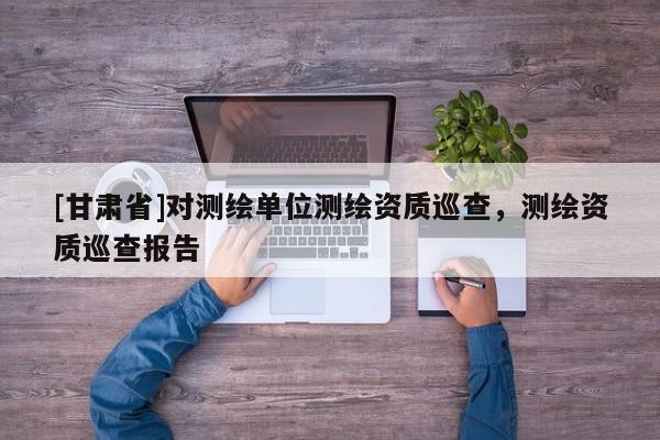 [甘肃省]对测绘单位测绘资质巡查，测绘资质巡查报告