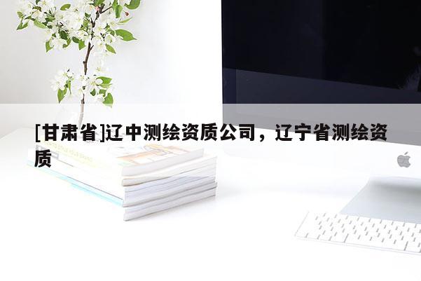 [甘肃省]辽中测绘资质公司，辽宁省测绘资质