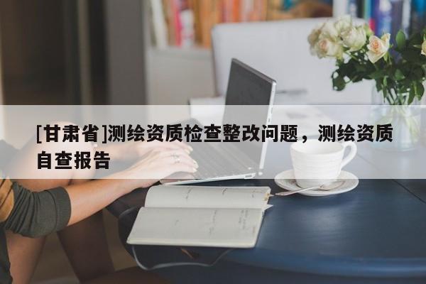 [甘肃省]测绘资质检查整改问题，测绘资质自查报告
