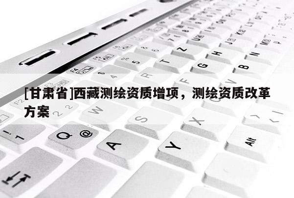 [甘肃省]西藏测绘资质增项，测绘资质改革方案