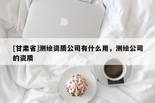 [甘肃省]测绘资质公司有什么用，测绘公司的资质